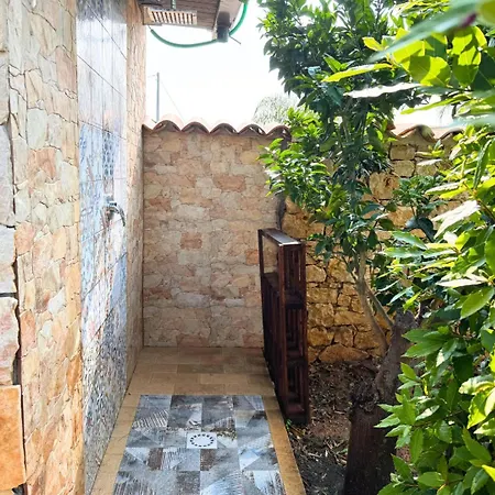 Zeus Trappeto (Sicily)