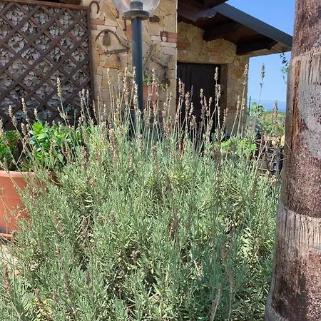 Casa vacanze Zeus *